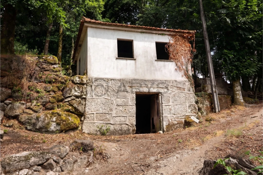 Quinta T8 para Venda em Rossas Foto 18