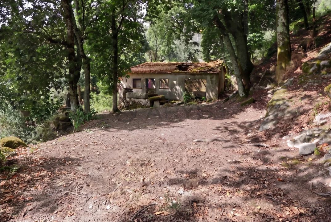Quinta T8 para Venda em Rossas Foto 19
