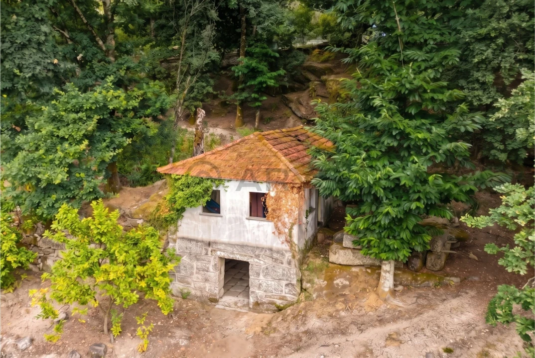 Quinta T8 para Venda em Rossas Foto 9