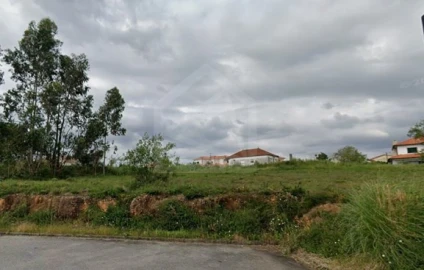 Terreno para Venda em Recardães e Espinhel