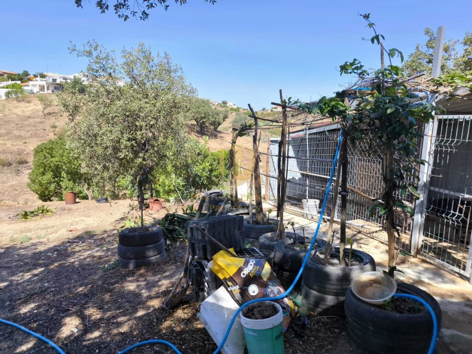 Quinta T3 para Venda em Azinhal Foto 34