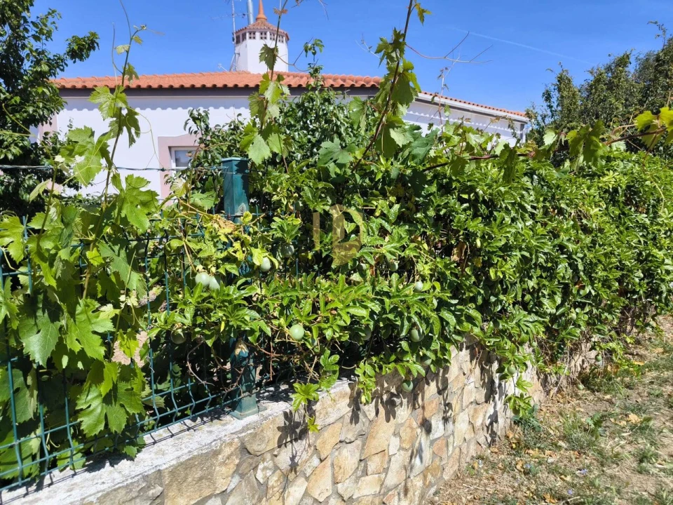 Quinta T3 para Venda em Azinhal Foto 56