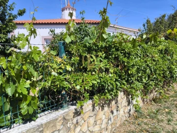 Quinta T3 para Venda em Azinhal