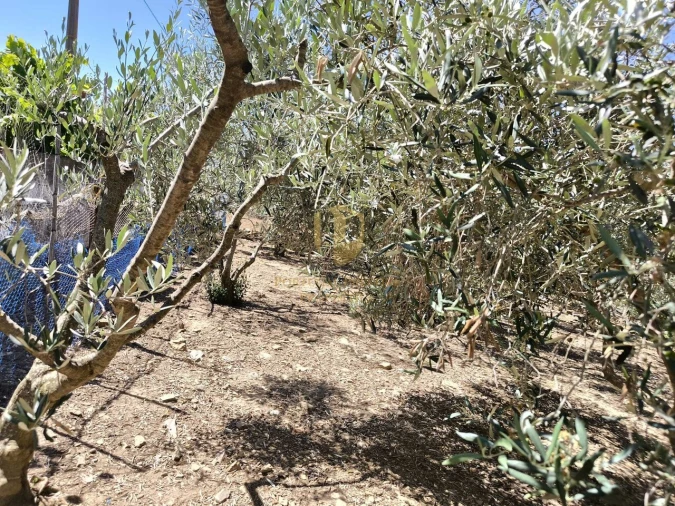 Moradia T3 para Venda em Azinhal Foto 26