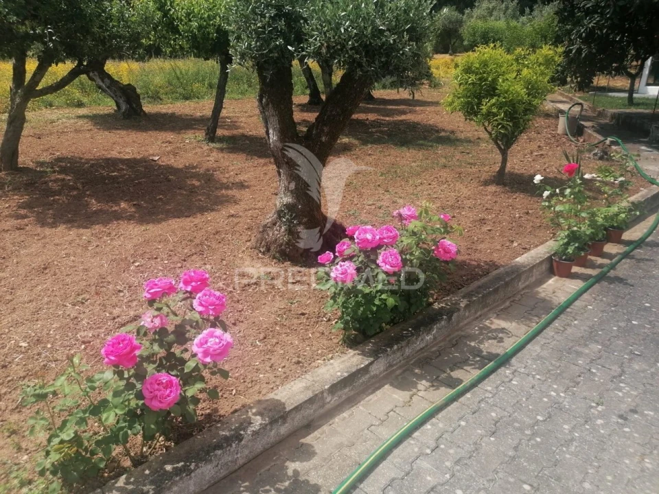 Moradia T3 para Venda em Pussos São Pedro Foto 10