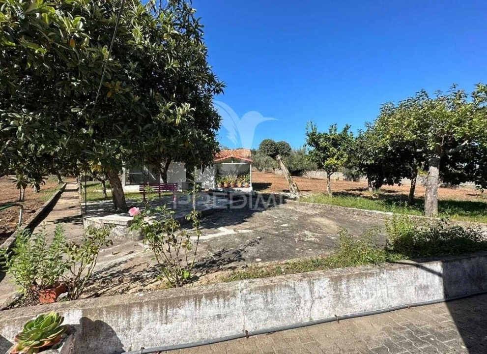 Moradia T3 para Venda em Pussos São Pedro Foto 25