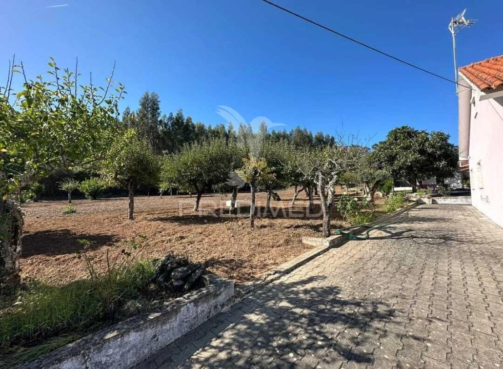 Moradia T3 para Venda em Pussos São Pedro Foto 26