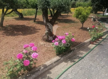 Moradia T3 para Venda em Pussos São Pedro