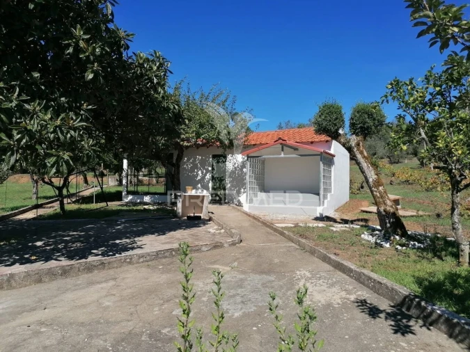 Moradia T3 para Venda em Pussos São Pedro Foto 21