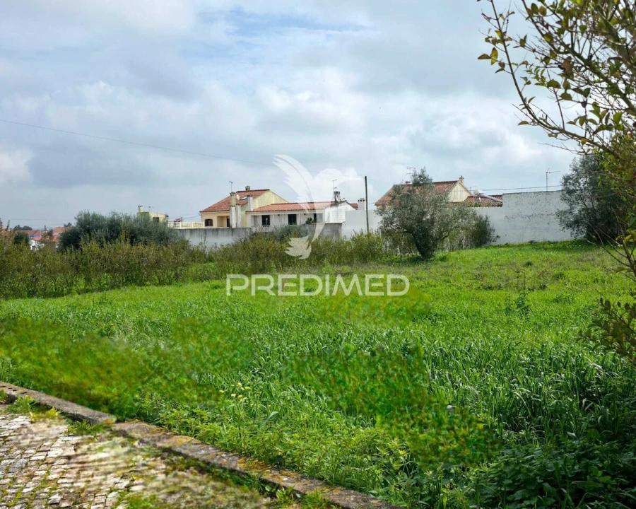 Terreno para Venda em Rio Maior Foto 4