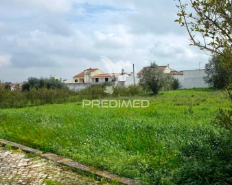 Terreno para Venda em Rio Maior