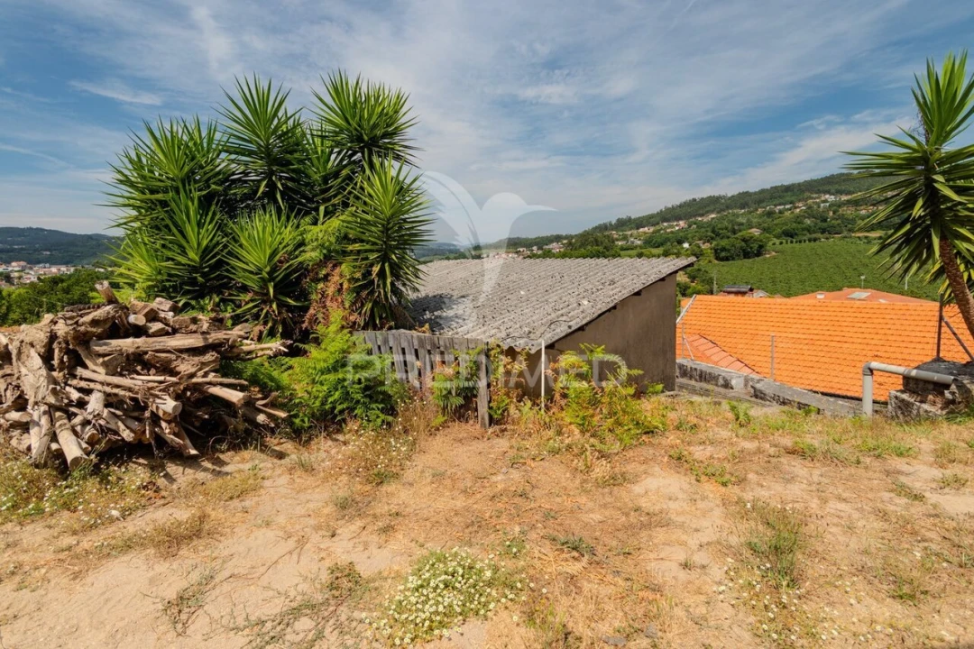 Moradia T3 para Venda em Pombeiro de Ribavizela Foto 9