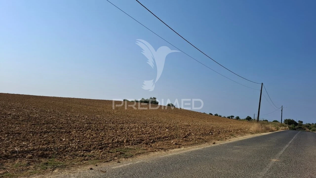 Terreno para Venda em Achete, Azoia de Baixo e Póvoa de Santarém Foto 7