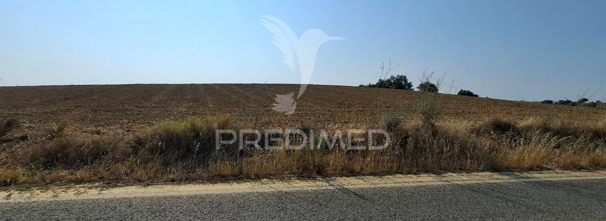 Terreno para Venda em Achete, Azoia de Baixo e Póvoa de Santarém Foto 4
