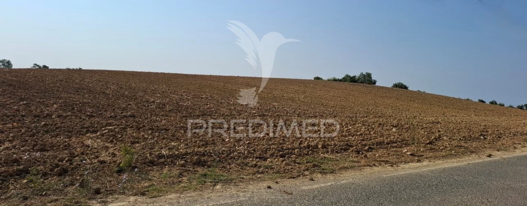 Terreno para Venda em Achete, Azoia de Baixo e Póvoa de Santarém Foto 5
