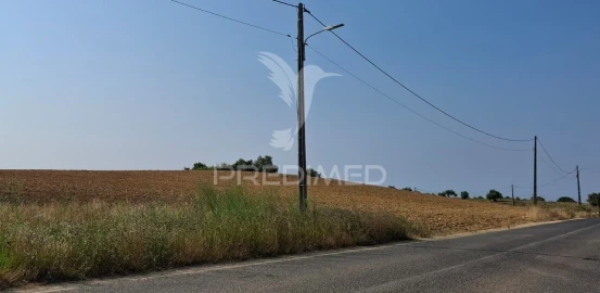Terreno para Venda em Achete, Azoia de Baixo e Póvoa de Santarém