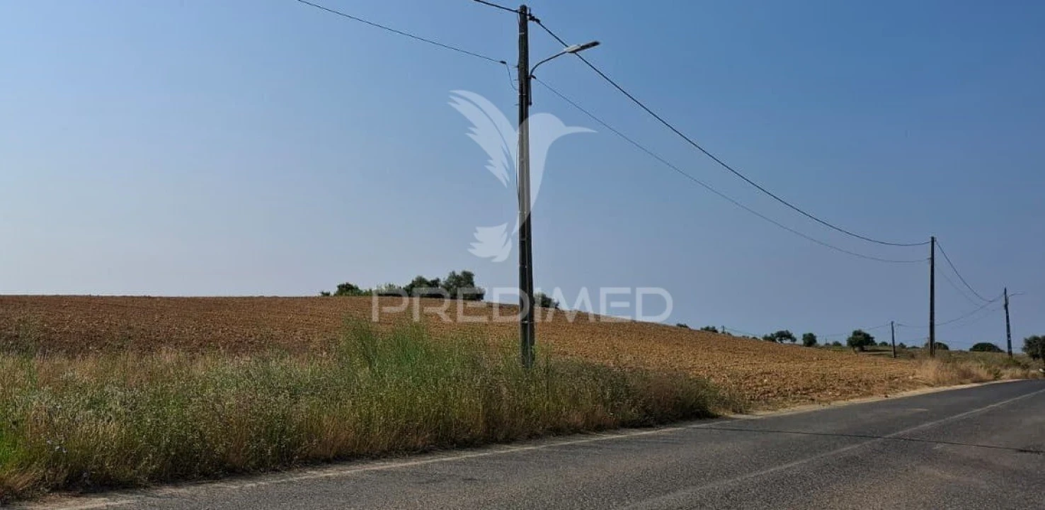 Terreno para Venda em Achete, Azoia de Baixo e Póvoa de Santarém Foto 6