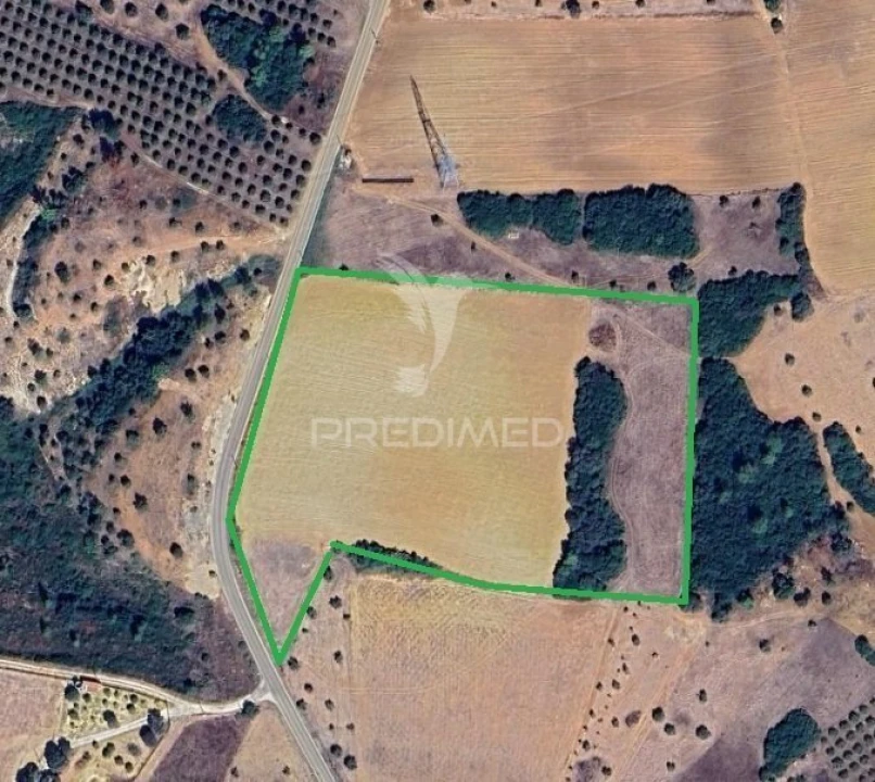 Terreno para Venda em Achete, Azoia de Baixo e Póvoa de Santarém Foto 1