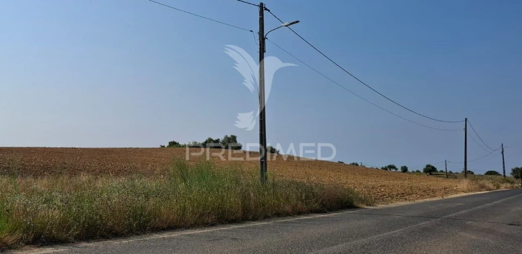 Terreno para Venda em Achete, Azoia de Baixo e Póvoa de Santarém Foto 6