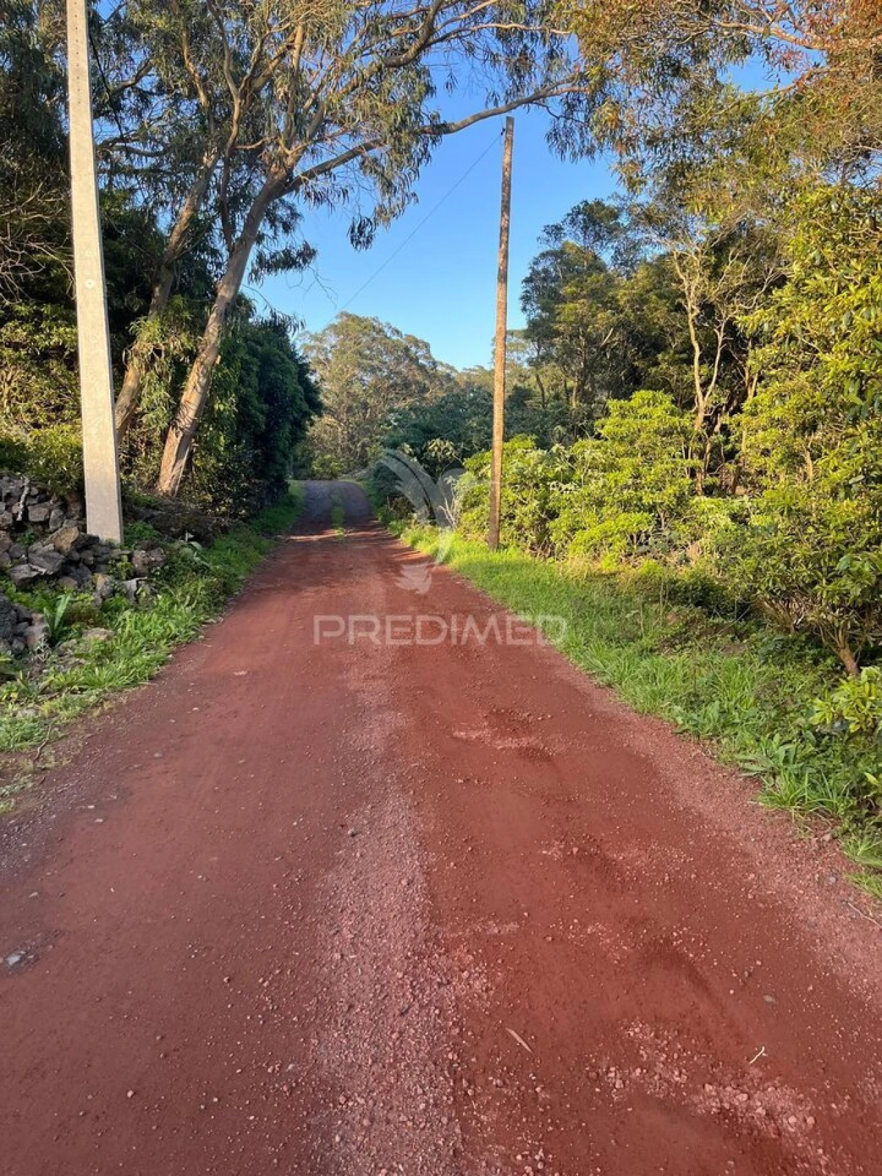 Terreno para Venda em Fonte do Bastardo Foto 6