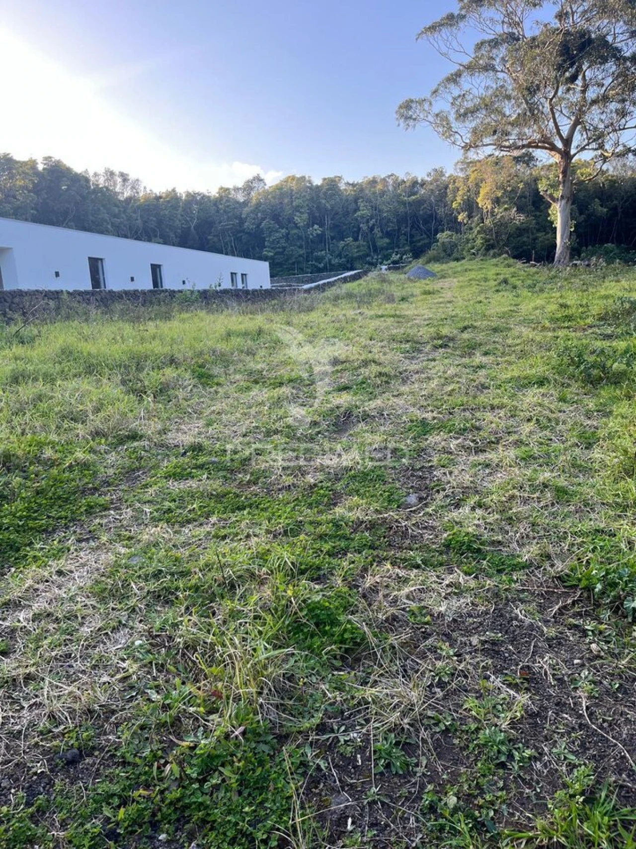 Terreno para Venda em Fonte do Bastardo Foto 4