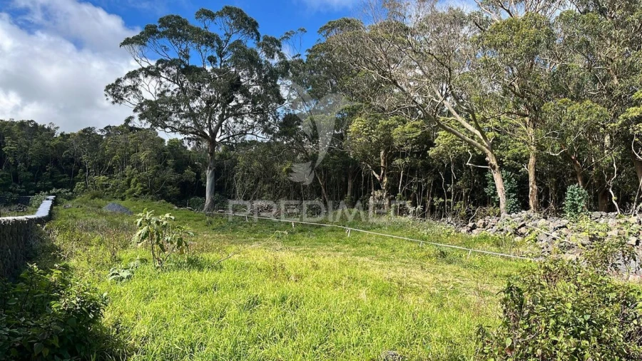 Terreno para Venda em Fonte do Bastardo Foto 5