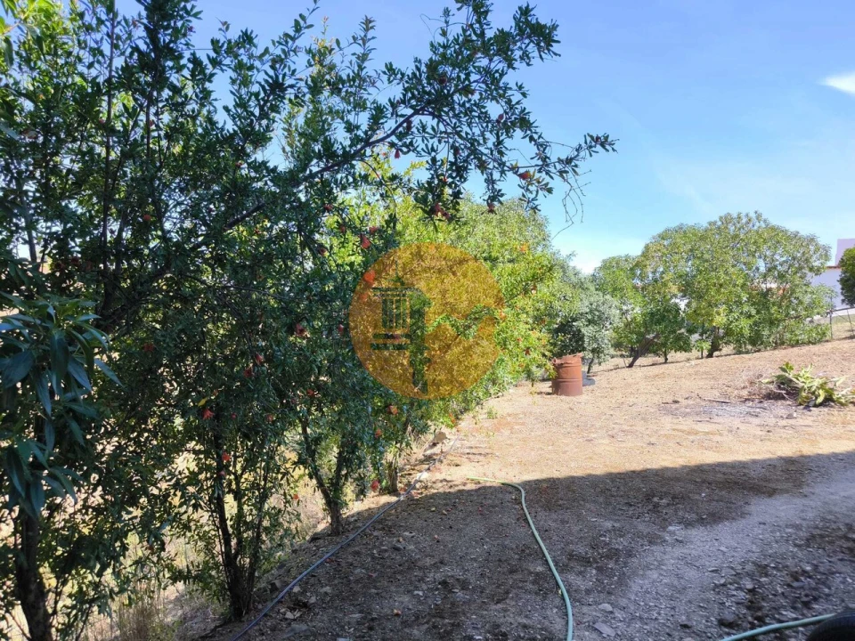Quinta T3 para Venda em Azinhal Foto 32