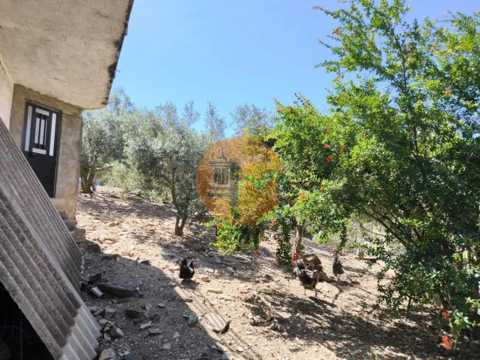 Quinta T3 para Venda em Azinhal Foto 30