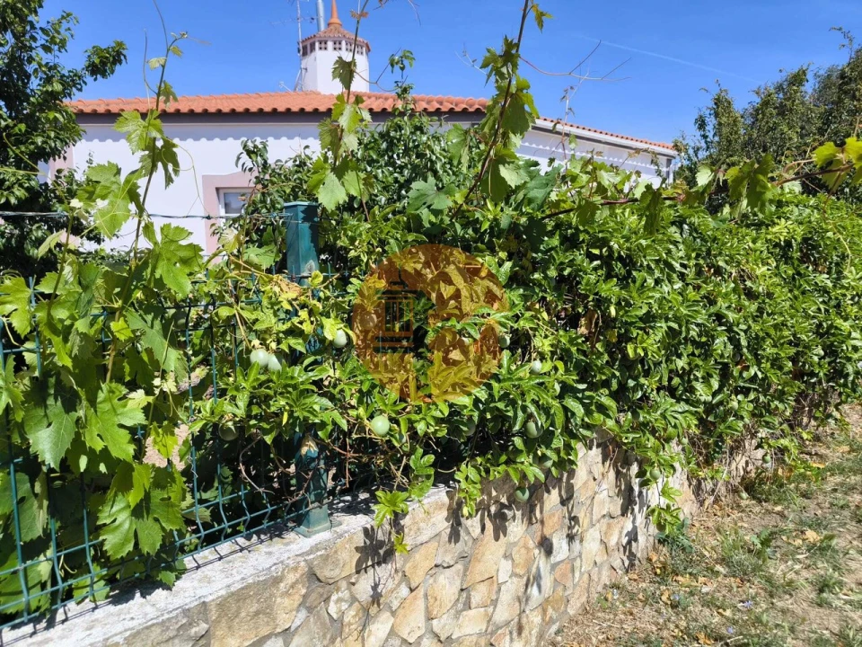Moradia T3 para Venda em Azinhal Foto 56