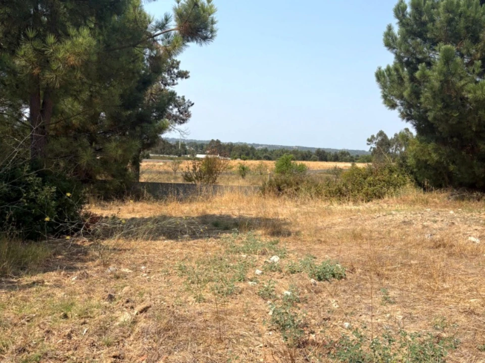 Terreno Comércio / Armazém para Venda em Quinta do Anjo Foto 2