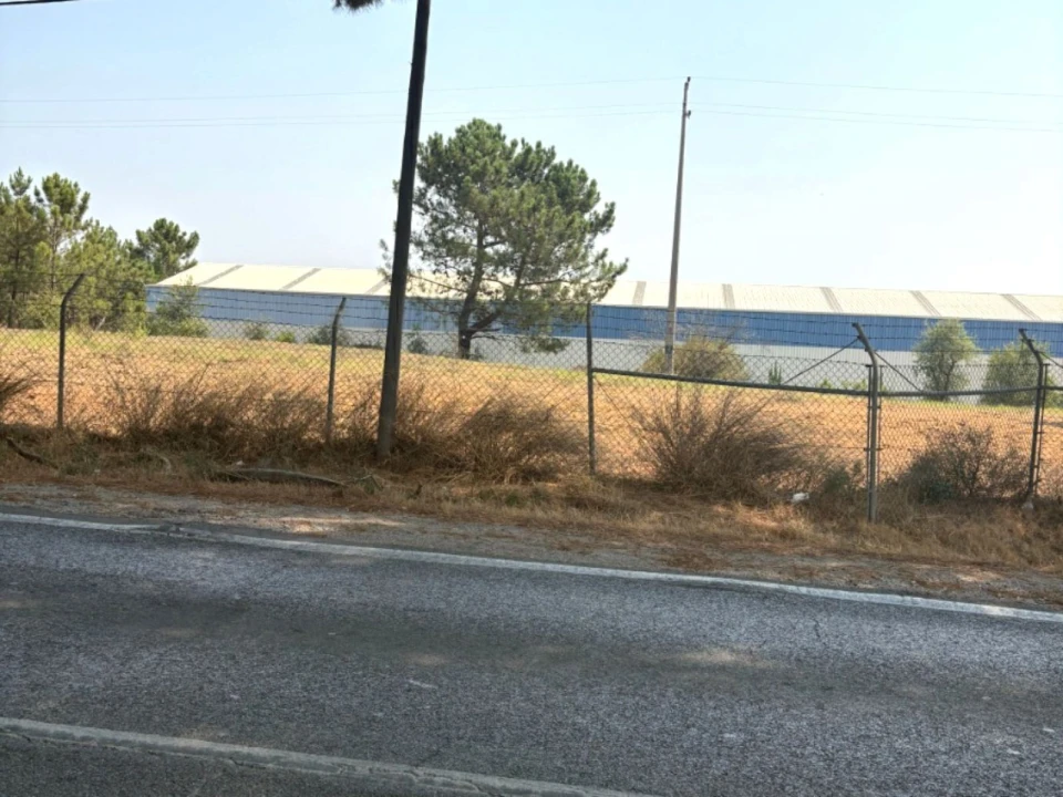 Terreno Comércio / Armazém para Venda em Quinta do Anjo Foto 8
