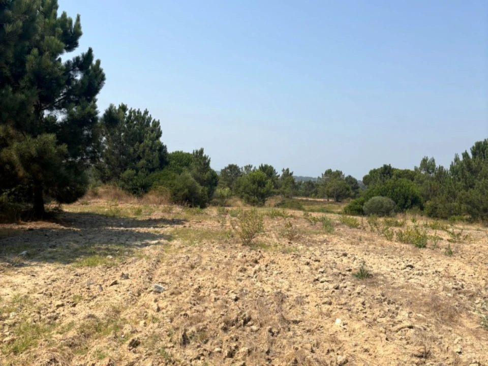 Terreno Comércio / Armazém para Venda em Quinta do Anjo Foto 10