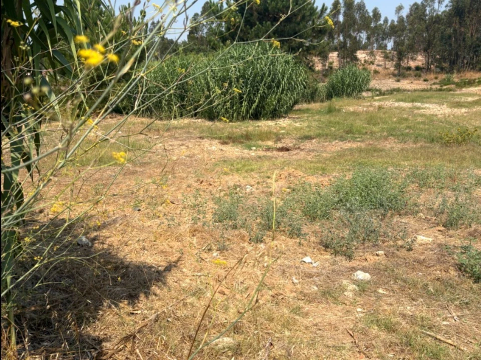 Terreno Comércio / Armazém para Venda em Quinta do Anjo Foto 14