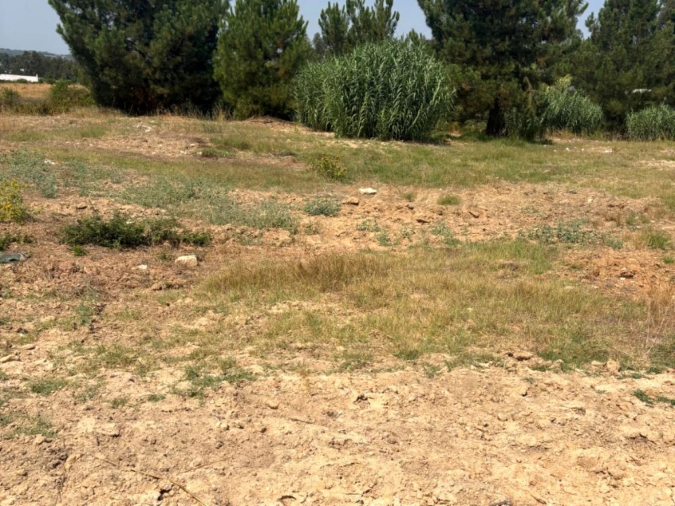 Terreno Comércio / Armazém para Venda em Quinta do Anjo Foto 15