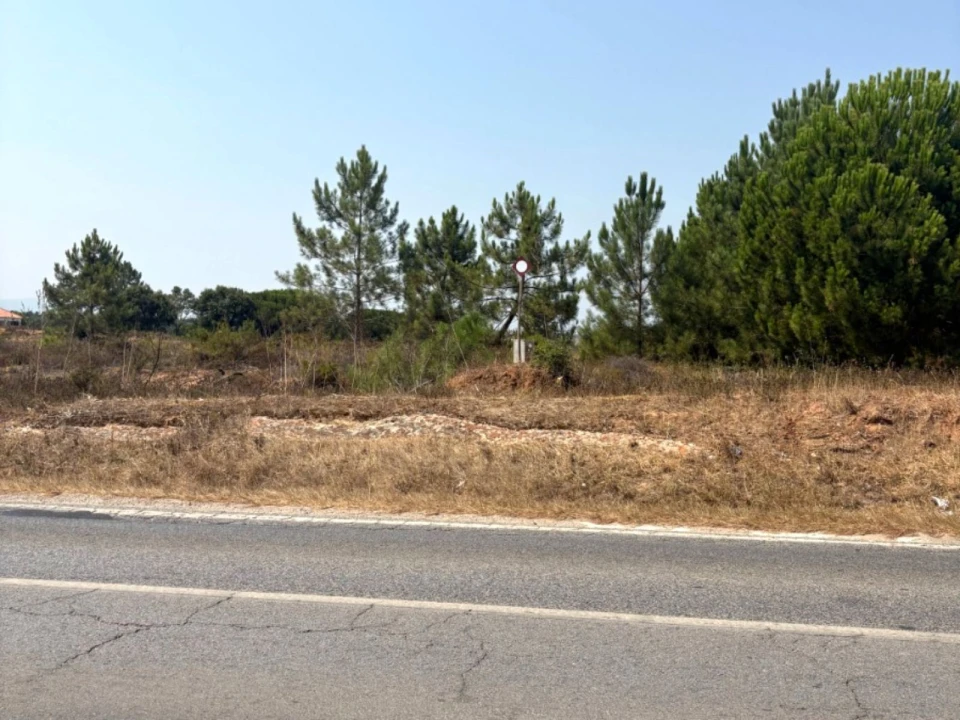 Terreno Comércio / Armazém para Venda em Quinta do Anjo Foto 17