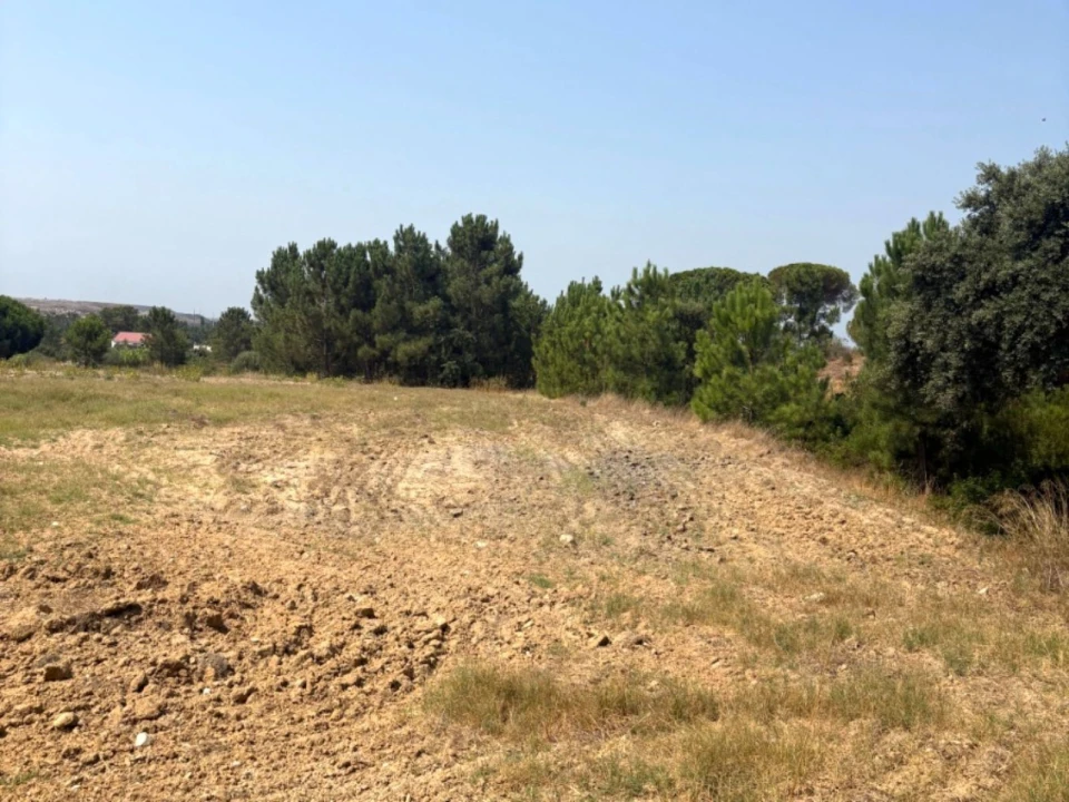 Terreno Comércio / Armazém para Venda em Quinta do Anjo Foto 21