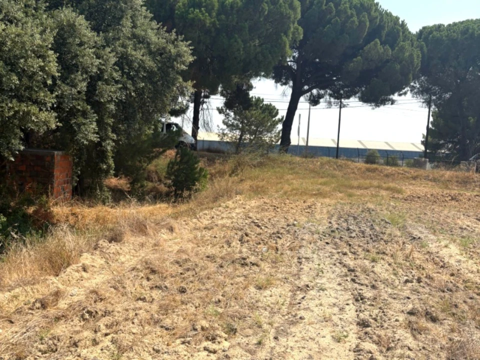 Terreno Comércio / Armazém para Venda em Quinta do Anjo Foto 22