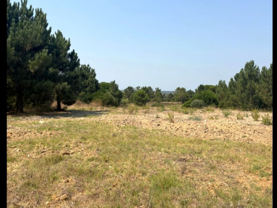 Terreno Comércio / Armazém para Venda em Quinta do Anjo Foto 23