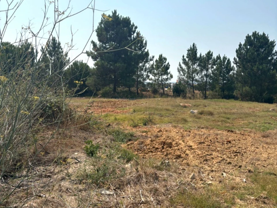 Terreno Comércio / Armazém para Venda em Quinta do Anjo Foto 24