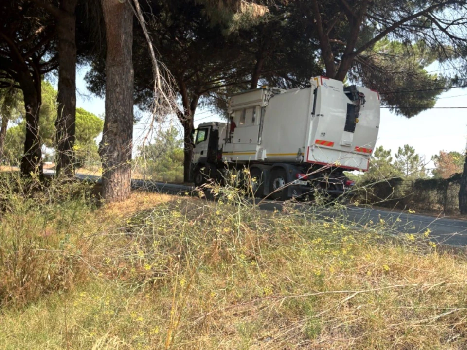 Terreno Comércio / Armazém para Venda em Quinta do Anjo Foto 25