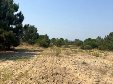 Terreno Comércio / Armazém para Venda em Quinta do Anjo