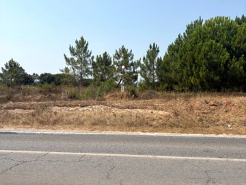 Terreno Comércio / Armazém para Venda em Quinta do Anjo