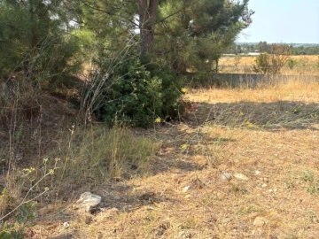 Terreno Comércio / Armazém para Venda em Quinta do Anjo