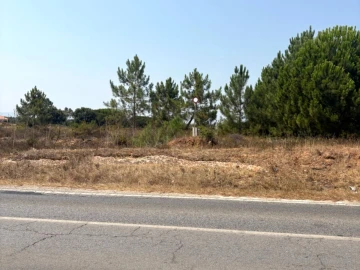 Terreno Comércio / Armazém para Venda em Quinta do Anjo