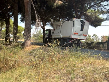 Terreno Comércio / Armazém para Venda em Quinta do Anjo
