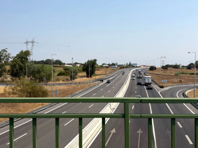 Terreno Comércio / Armazém para Venda em Quinta do Anjo Foto 3