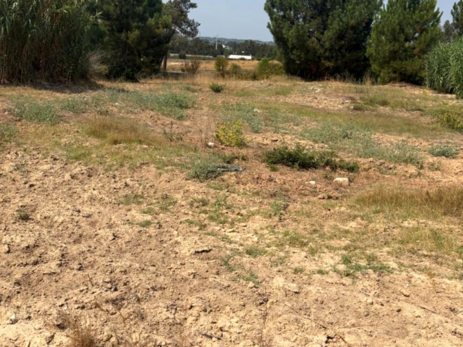 Terreno Comércio / Armazém para Venda em Quinta do Anjo Foto 5