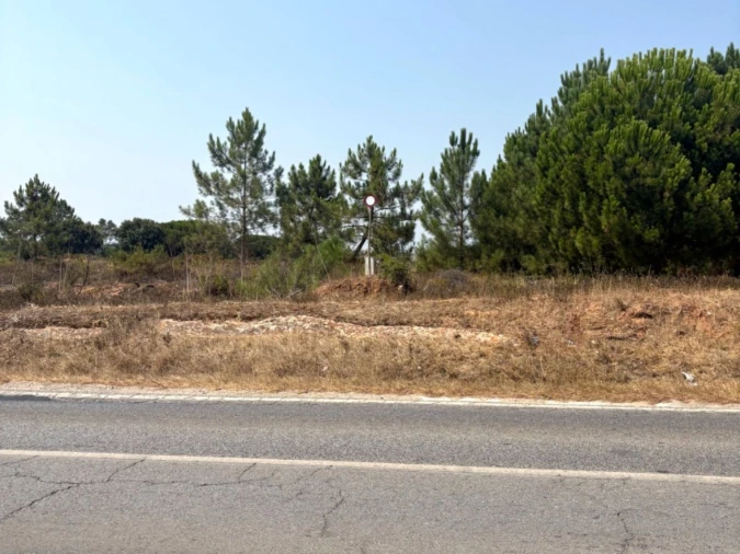 Terreno Comércio / Armazém para Venda em Quinta do Anjo Foto 11