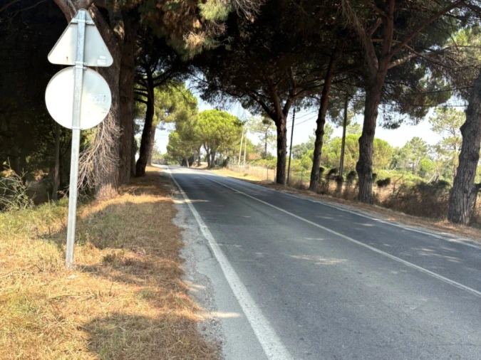 Terreno Comércio / Armazém para Venda em Quinta do Anjo Foto 20