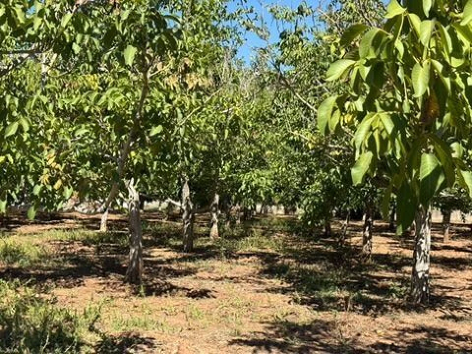 Quinta T0 para Venda em Palmela Foto 21